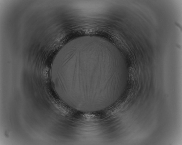 X0000091290650200708311318