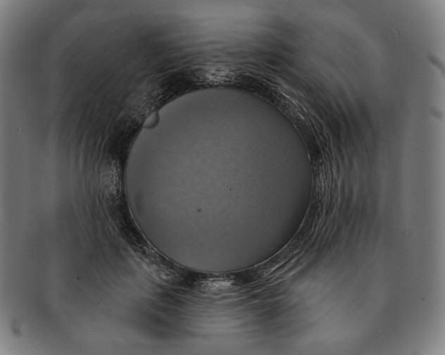 X0000091290651200708311318