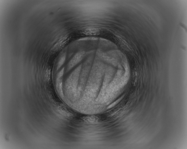 X0000091290652200708311318