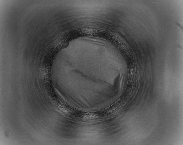 X0000091290653200708311318