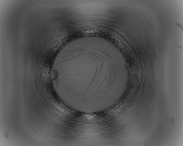 X0000091290654200708311318