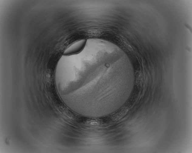 X0000091290655200708311318