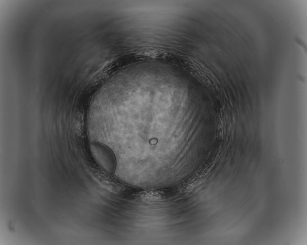 X0000091290656200708311318