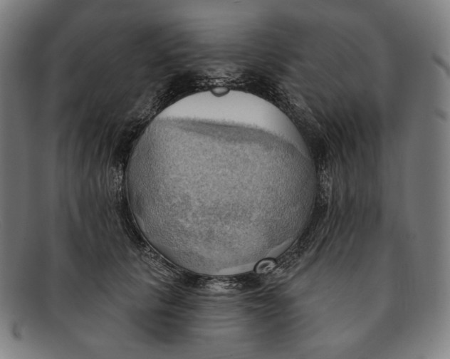 X0000091290657200708311318