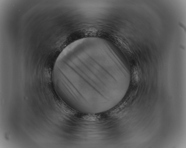 X0000091290661200708311318