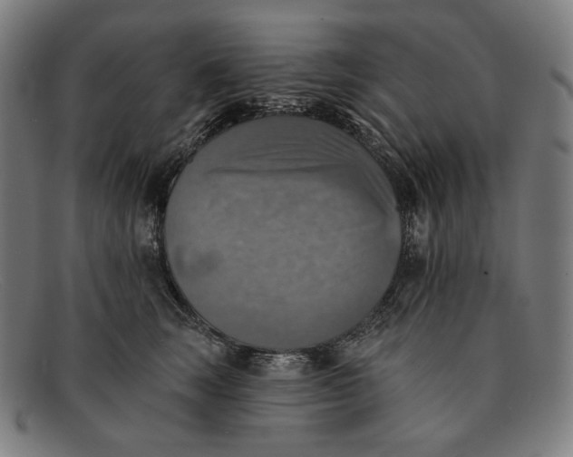 X0000091290663200708311318