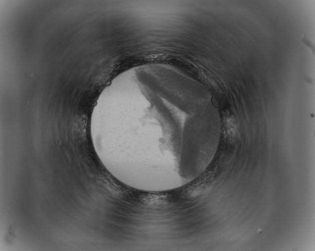 X0000091290664200708311318