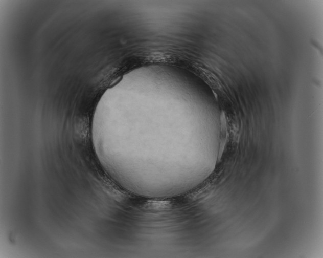 X0000091290665200708311318