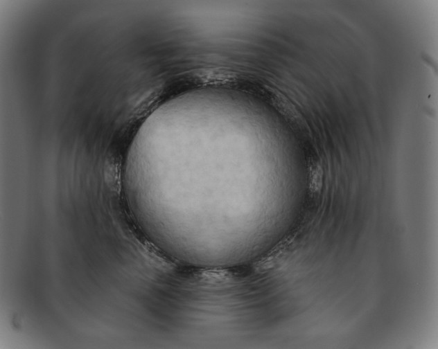 X0000091290666200708311318