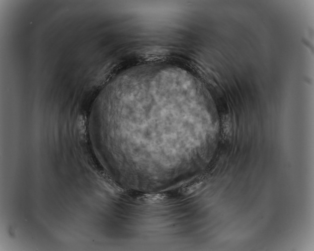 X0000091290667200708311318