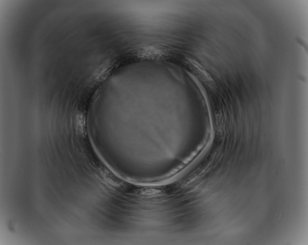 X0000091290669200708311318