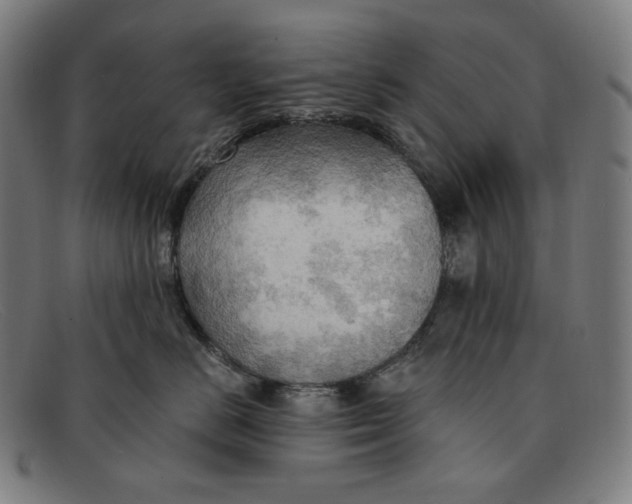 X0000091290670200708311318