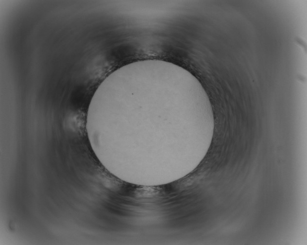 X0000091290672200708311318