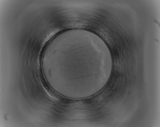 X0000091290674200708311318