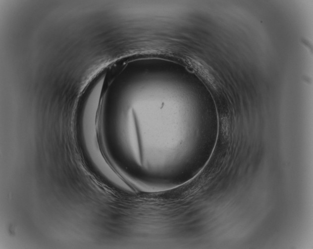 X0000091290676200708311318