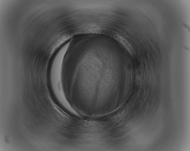 X0000091290677200708311318