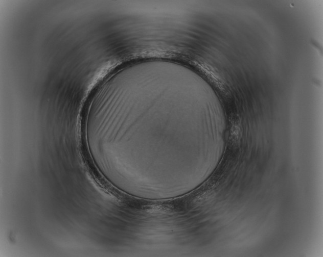 X0000091290678200708311318