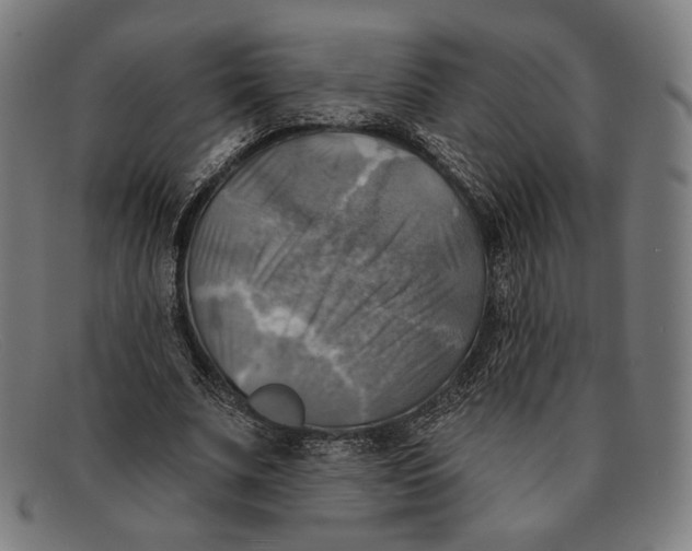 X0000091290679200708311318