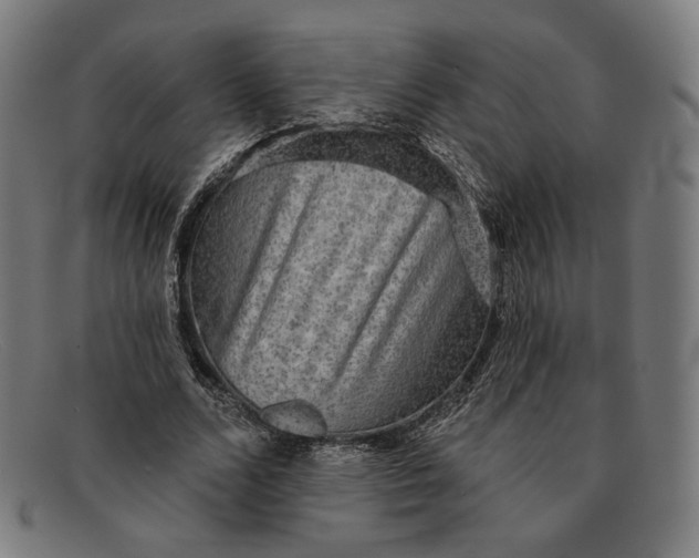 X0000091290680200708311318