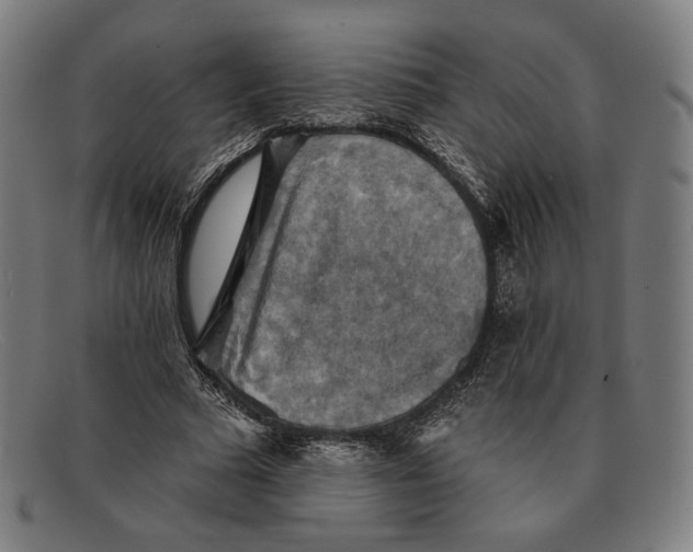 X0000091290681200708311318