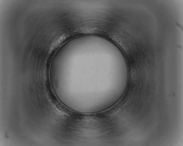 X0000091290682200708311318