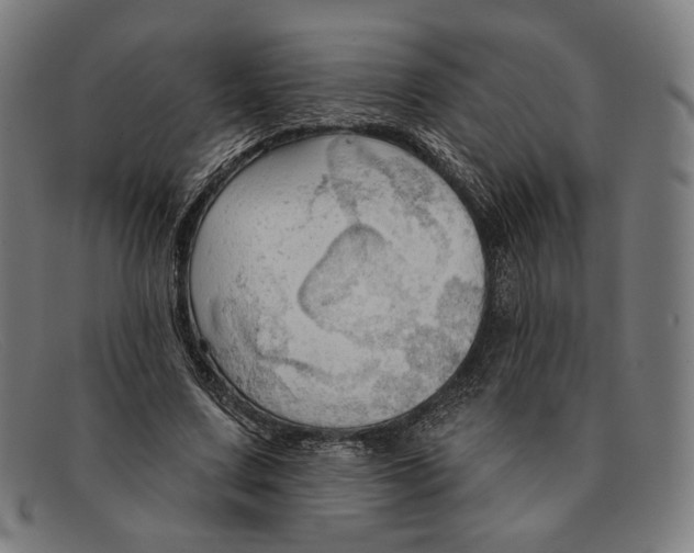 X0000091290683200708311318