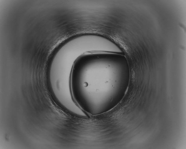 X0000091290684200708311318