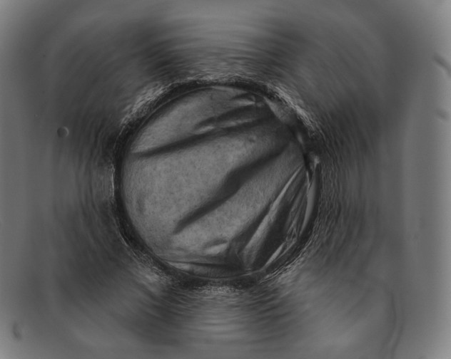 X0000091290685200708311318