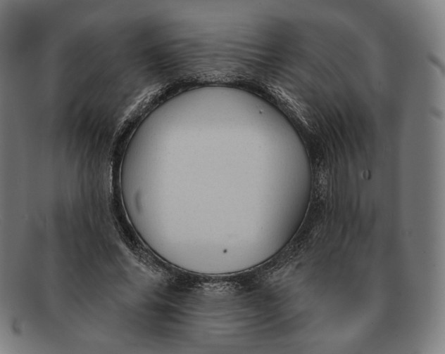 X0000091290686200708311318