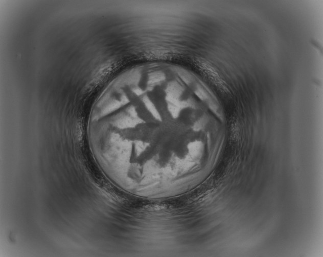 X0000091290687200708311318