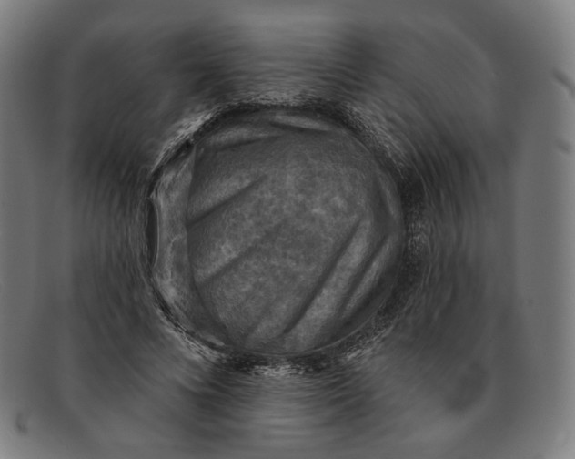 X0000091290688200708311318