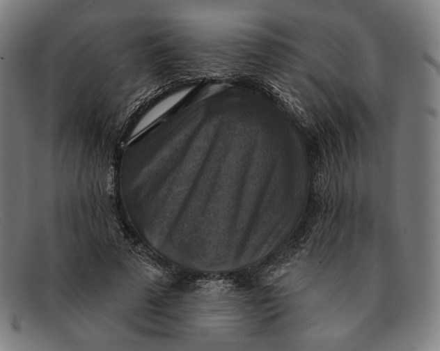 X0000091290689200708311318