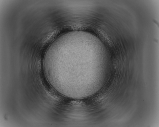 X0000091290690200708311318