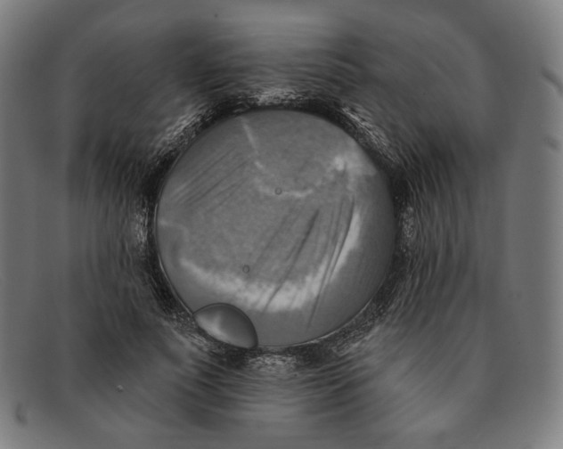 X0000091290691200708311317