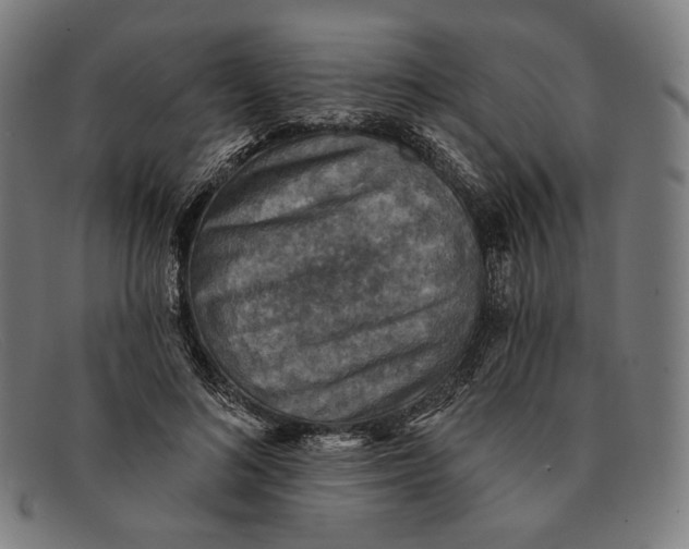 X0000091290692200708311317