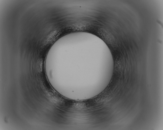 X0000091290694200708311317