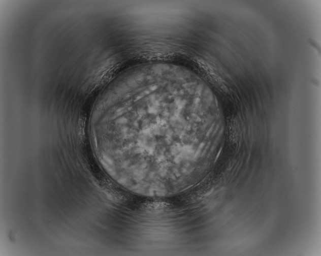 X0000091290695200708311317