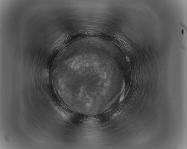 X0000091290696200708311317