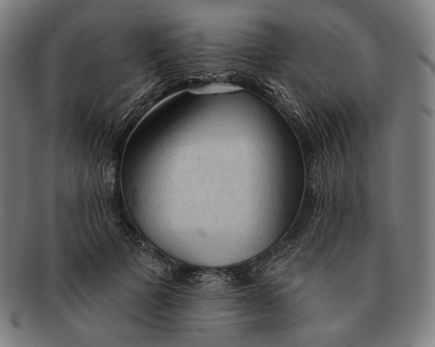 X0000091290697200708311317