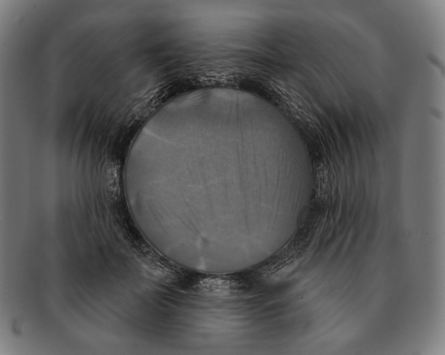 X0000091290699200708311317