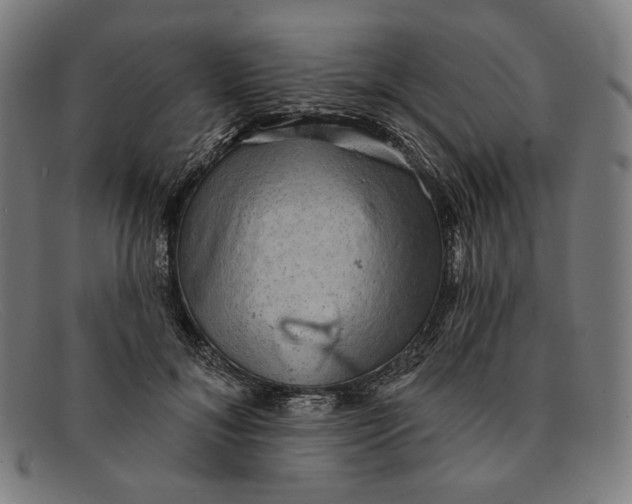 X0000091290700200708311317