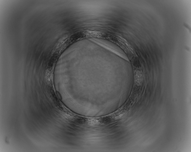 X0000091290701200708311317