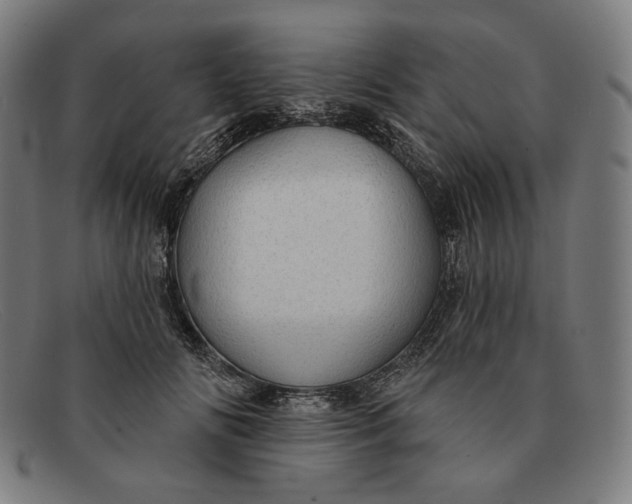 X0000091290702200708311317