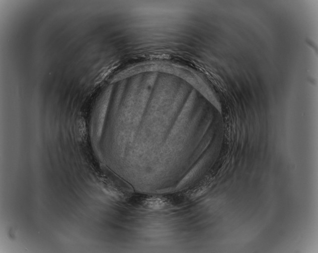 X0000091290704200708311317