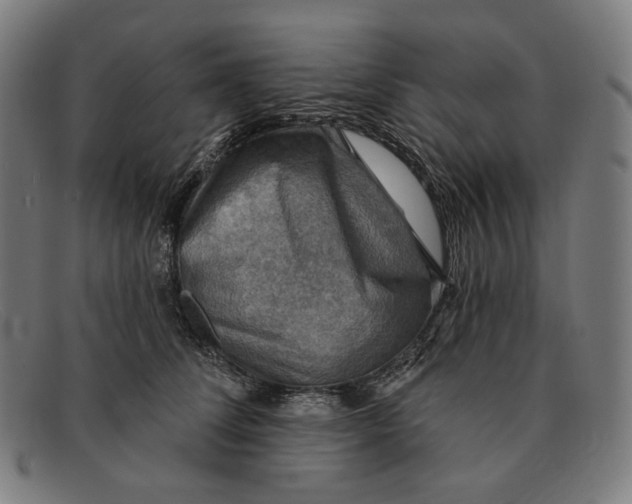 X0000091290708200708311317