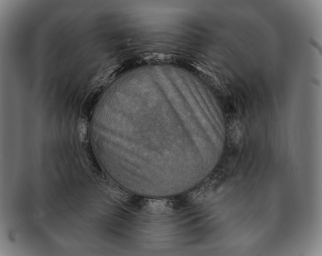 X0000091290709200708311317