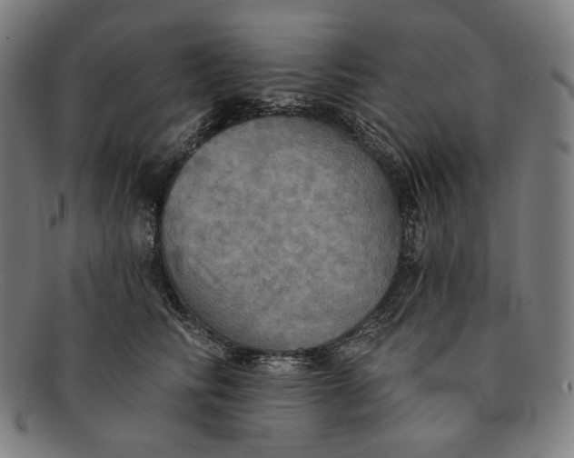 X0000091290710200708311317