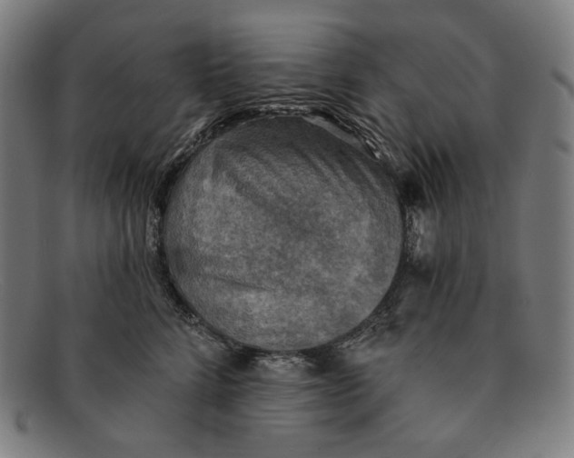 X0000091290712200708311317