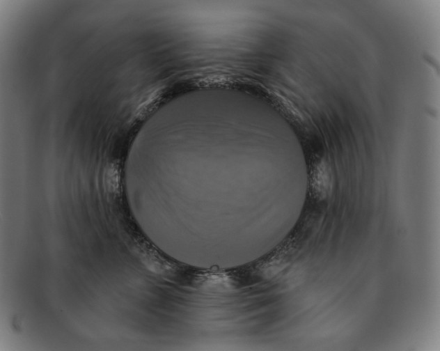 X0000091290715200708311317