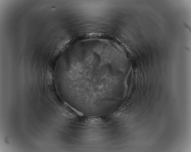 X0000091290716200708311317